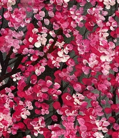 FMUV - Ultra View Glass